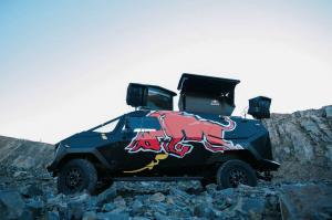 2015 Red Bull F-22 Raptor