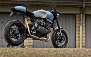 1998 Triumph Legend TT900 Palatina Dream Bikes T15