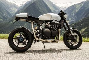 2015 Palatina Dreambikes T15 by Palatina Dreambikes