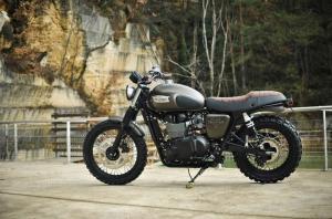 2014 Triumph TT by FCR