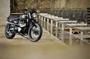 2014 Triumph TT by FCR