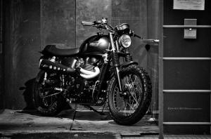 2014 Triumph TT by FCR