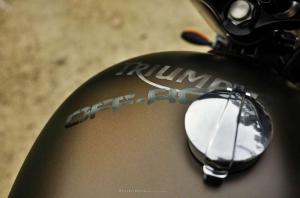 2014 Triumph TT by FCR