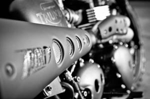 2014 Triumph TT by FCR