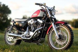 2004 Harley-Davidson XL1200 Skrembler