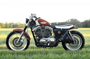 2004 Harley-Davidson XL1200 Skrembler