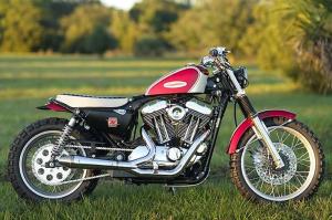 2004 Harley-Davidson XL1200 Skrembler