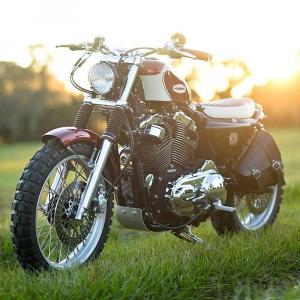 2004 Harley-Davidson XL1200 Skrembler