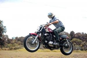 2004 Harley-Davidson XL1200 Skrembler