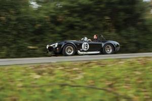 1964 Shelby Competition Cobra
