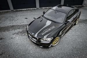 2016 BMW 220i MC320 by Mcchip-DKR