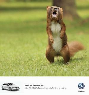 Гибриды от Volkswagen