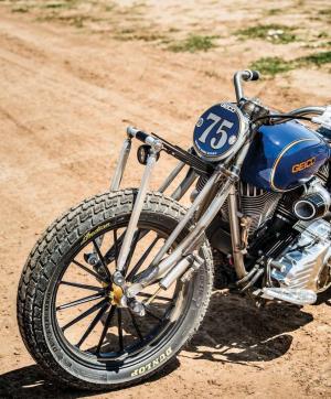 2016 Indian Chieftain RSD by Geico