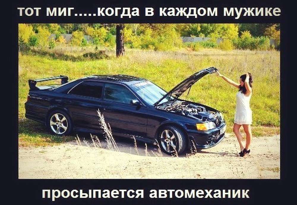 Автомобильные демотиваторы (часть 245)