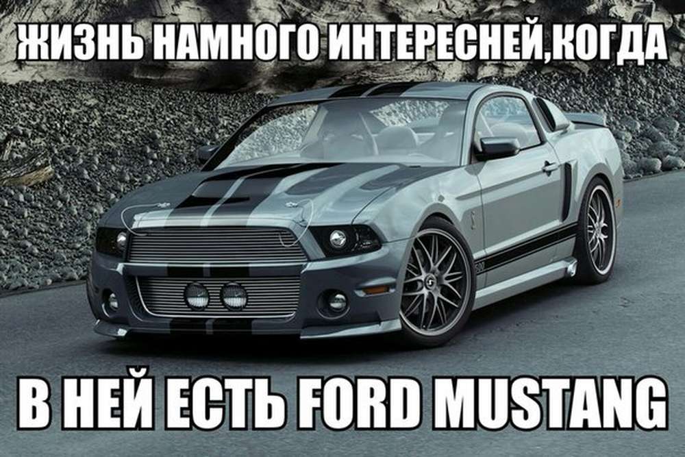 Автомобильные демотиваторы (часть 279)