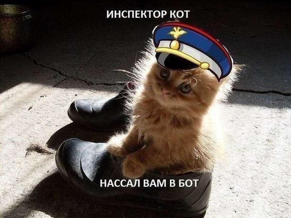 Автомобильные демотиваторы (часть 348)