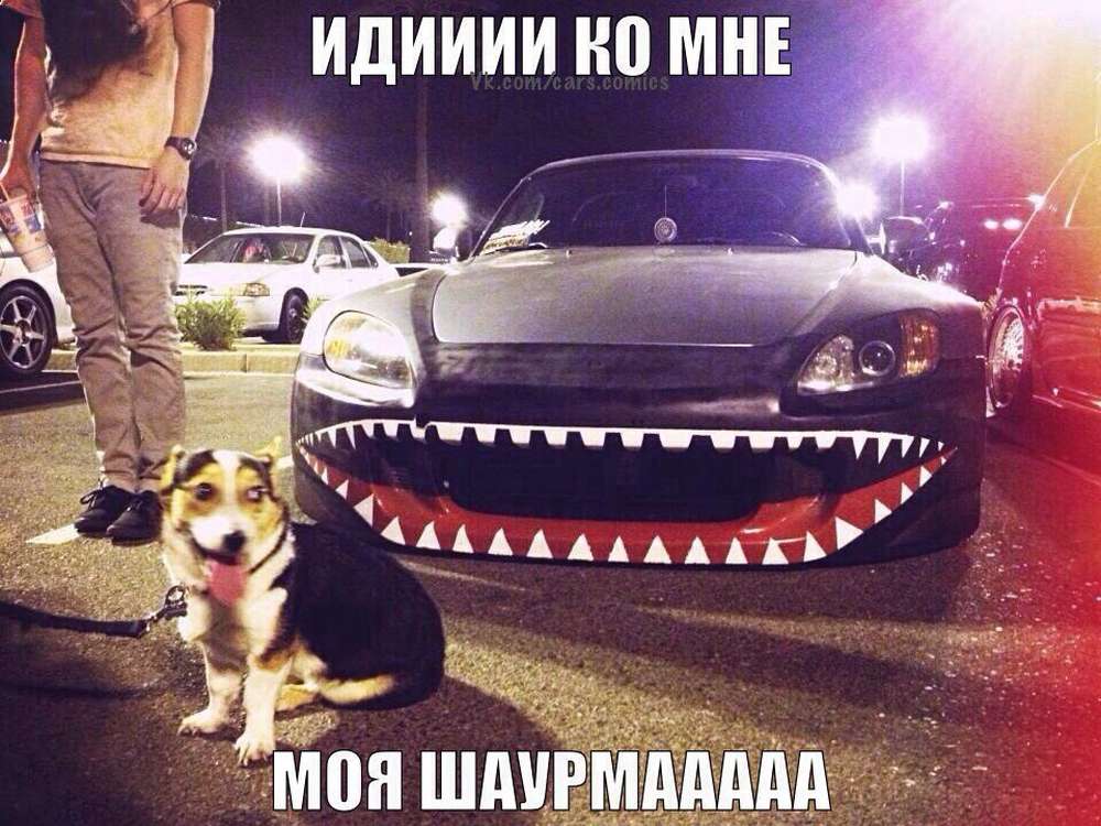 Автомобильные демотиваторы (часть 354)