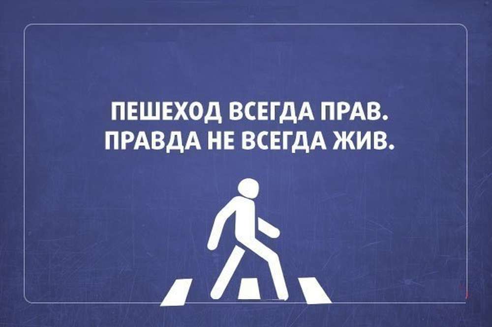 Автомобильные демотиваторы (часть 421)
