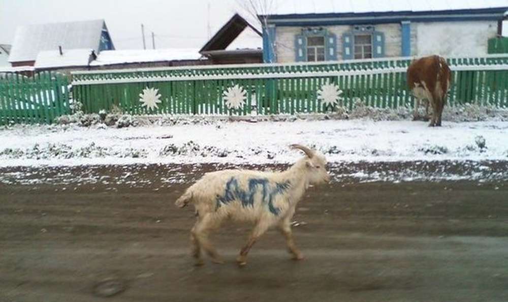 Автомобильная фотоподборка (часть 434)