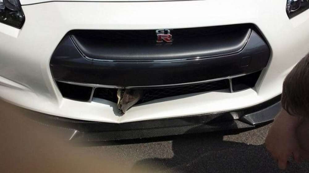 Невероятное столкновение Nissan с черепахой