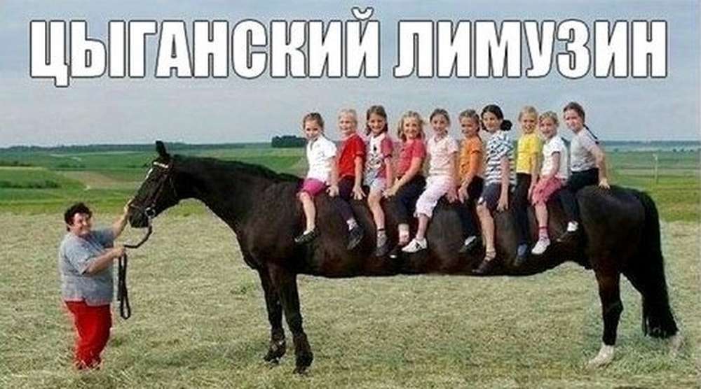 Автомобильные демотиваторы (часть 465)
