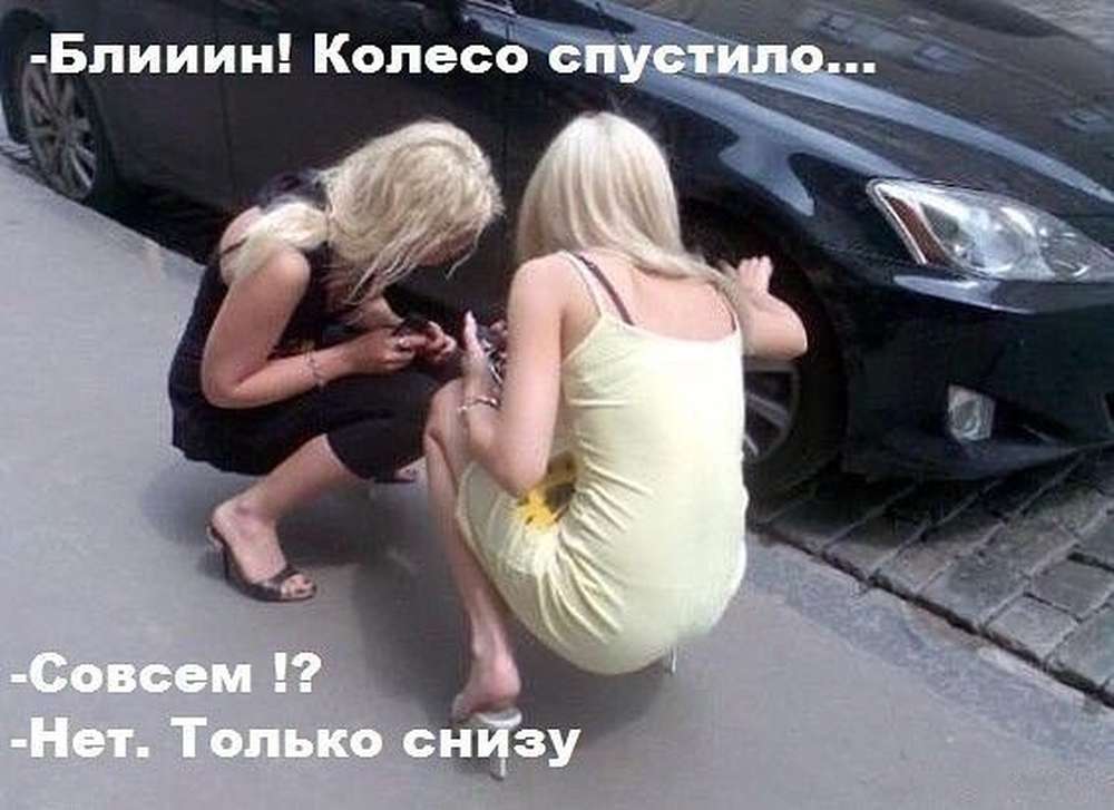 Автомобильные демотиваторы (часть 497)