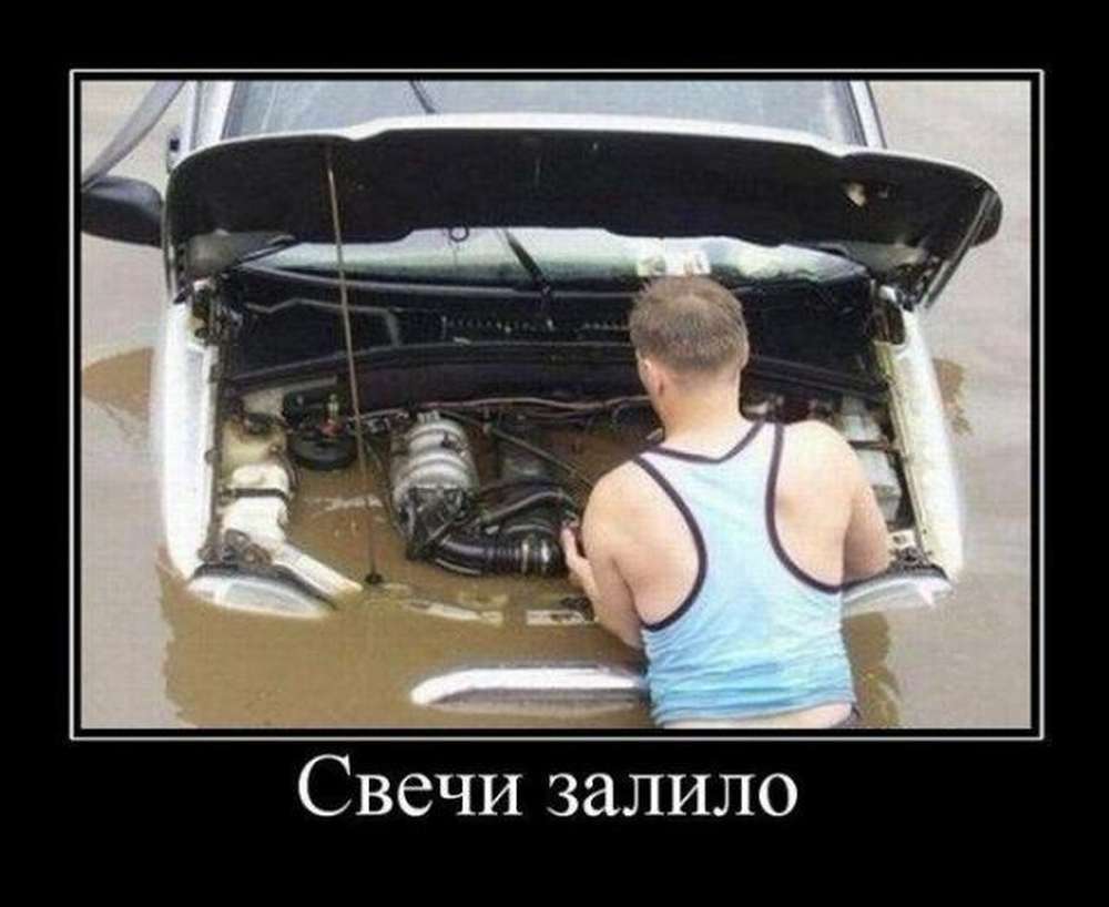 Автомобильные демотиваторы (часть 528)