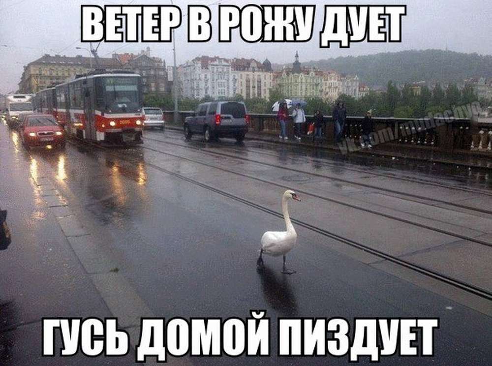 Автомобильные демотиваторы (часть 533)