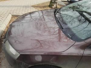 В Минске два пьяных школьника ради фото повредили пять автомобилей
