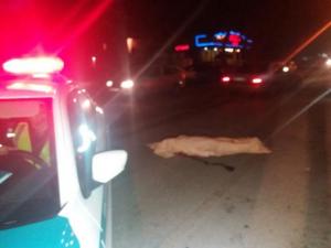 В Алматы женщину сбили насмерть и оставили прямо на дороге