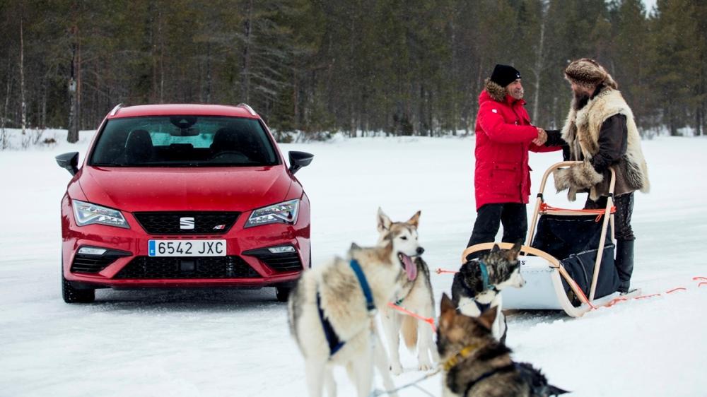 Хот-хэтч Seat сравнили с хаски
