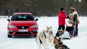 Хот-хэтч Seat сравнили с хаски