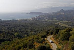 FIA не будет ограничивать среднюю скорость автомобилей WRC