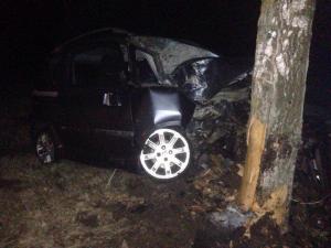 В Поставах Peugeot вылетел в кювет и врезался в дерево: водитель серьезно пострадал