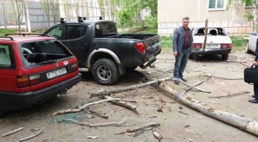 Дерево упало на автомобили в Костанае