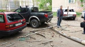 Дерево упало на автомобили в Костанае