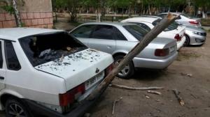 Дерево упало на автомобили в Костанае