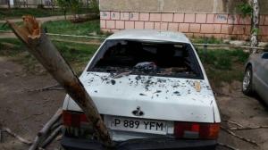 Дерево упало на автомобили в Костанае