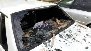 Дерево упало на автомобили в Костанае