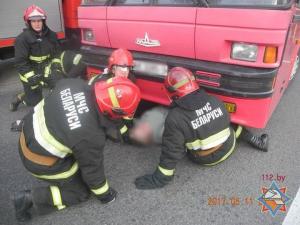 В Гомеле автобус сбил 69-летнюю женщину в нескольких метрах от перехода. Она в реанимации