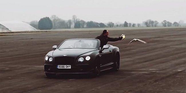 Кречета выставили на «гонку» против Bentley