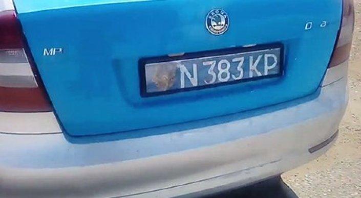 За бумажный госномер на служебном авто полицейского оштрафовали на 5 МРП