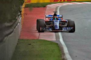 В Toro Rosso надеются побороться за очки