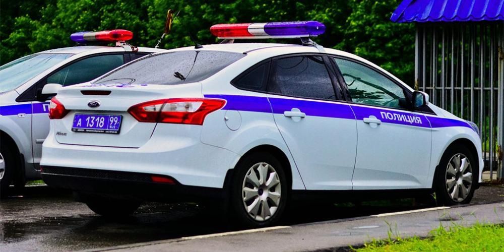 В Подмосковье установят более 100 трехмерных муляжей автомобилей ДПС