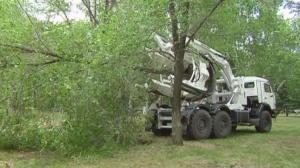 Чиновники похвастались машиной за 80 миллионов тенге для пересадки деревьев