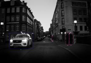Фотографии, сделанные Дэвидсон на камеры XC60