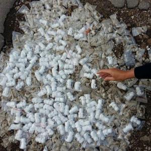 В Саратове дорожные ямы засыпали гипсовыми фигурками котиков