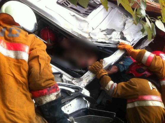 В Брестской области автомобиль врезался в дерево, водителя доставали спасатели
