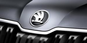 Tata Motors и Skoda отказались от сотрудничества