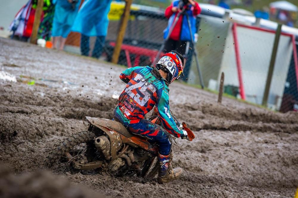 AMA Motocross 2017, этап 10 - Unadilla